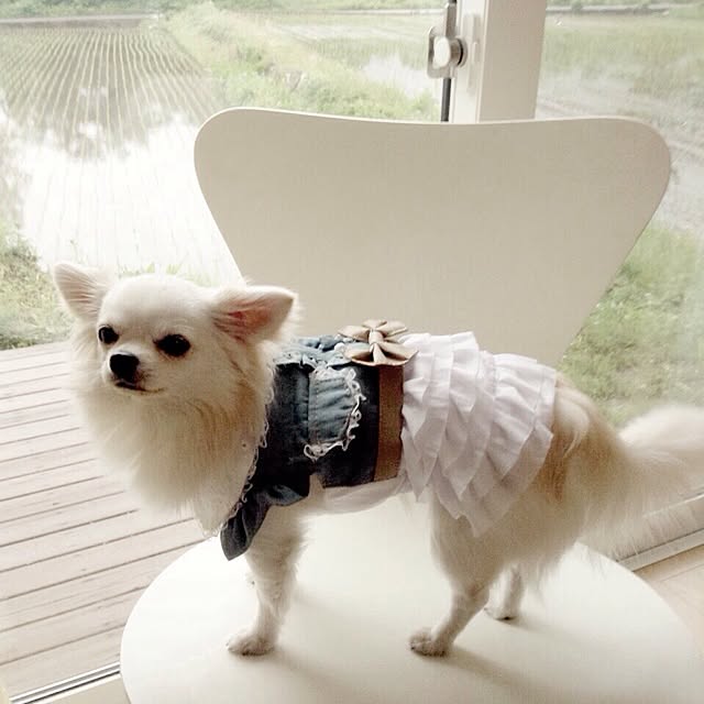 yukiさんの実例写真