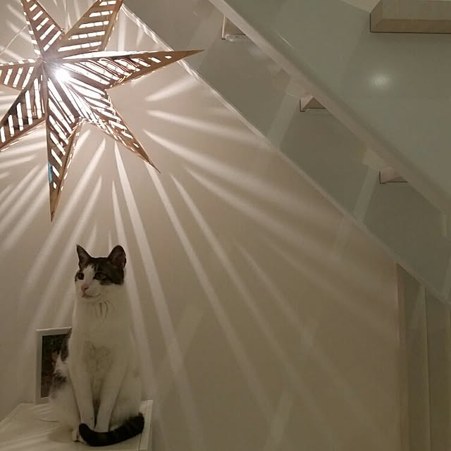 runayucoさんの実例写真