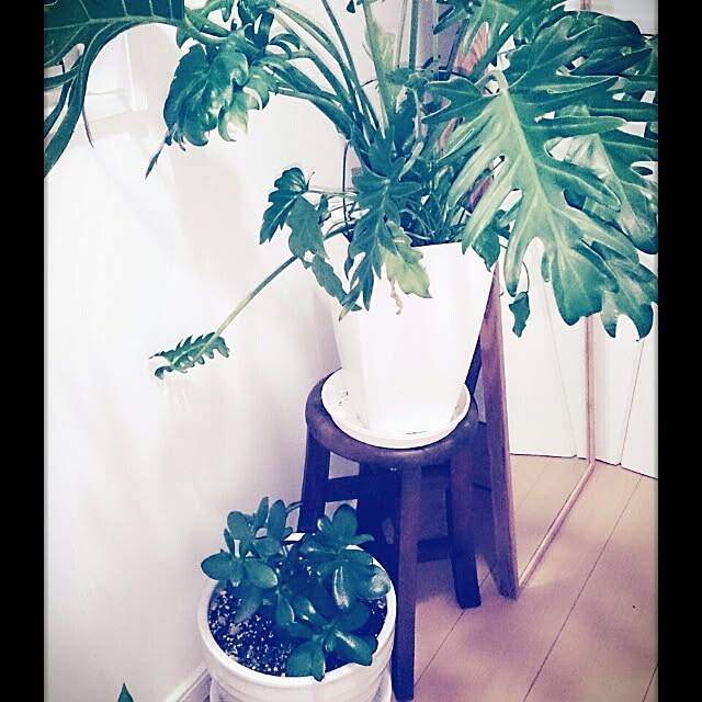 maruさんの実例写真
