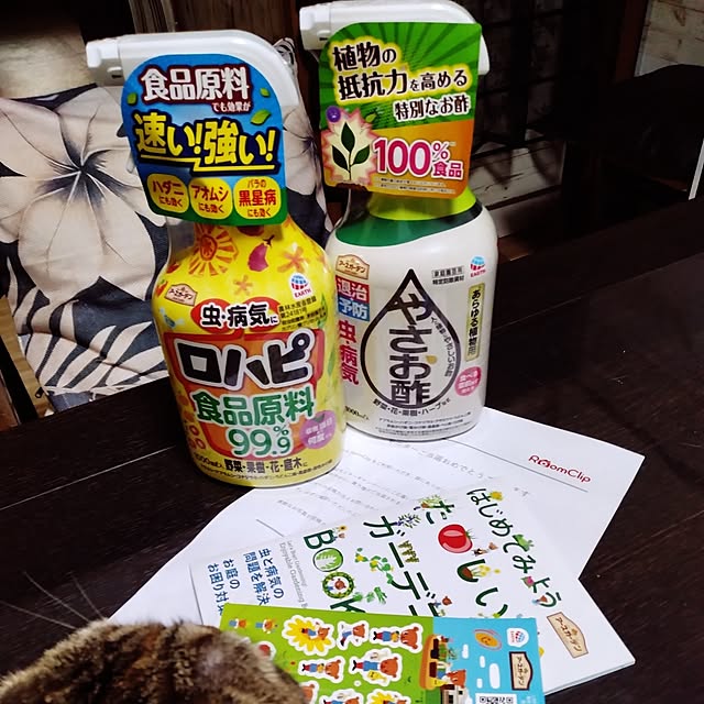 runaさんの実例写真