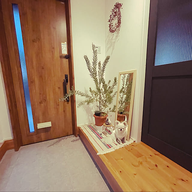 観葉植物/IKEA/玄関/入り口のインテリア実例 - 2021-11-23 03:58:21