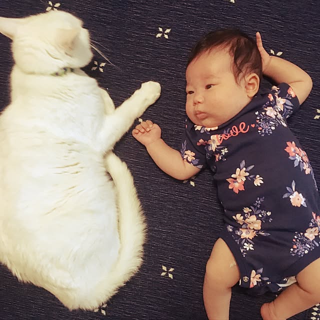 nyam0v0さんの実例写真