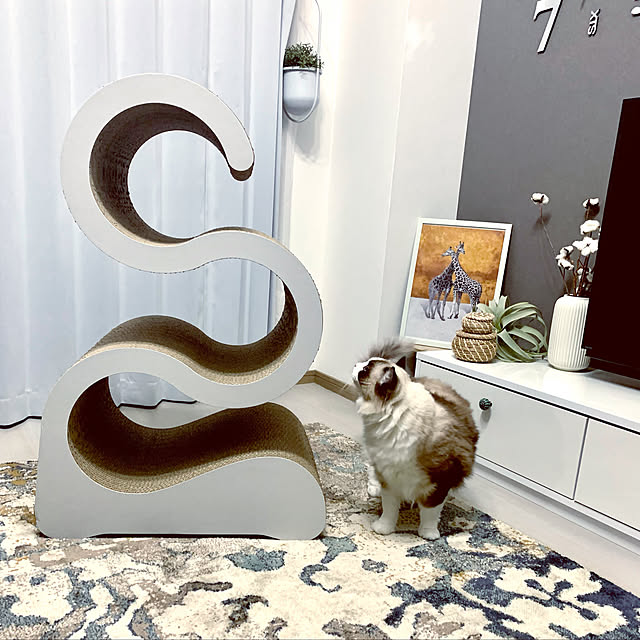Micccaさんの実例写真