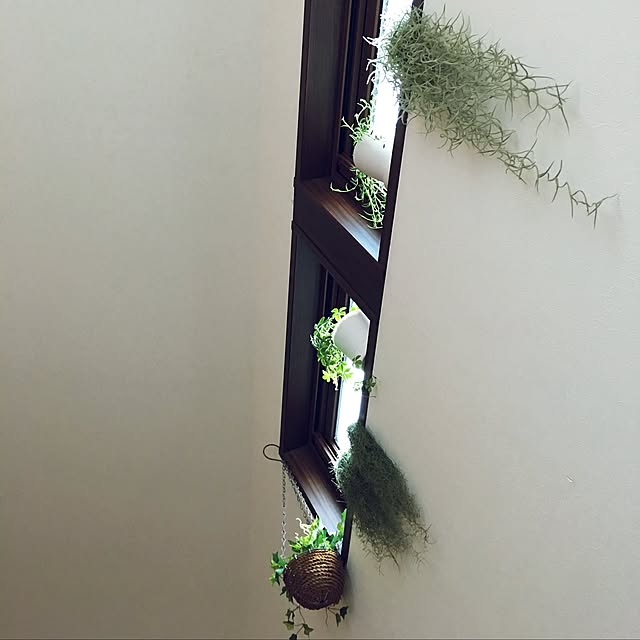 scarletさんの実例写真