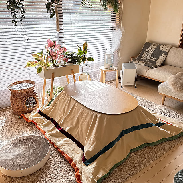 chinaさんの部屋