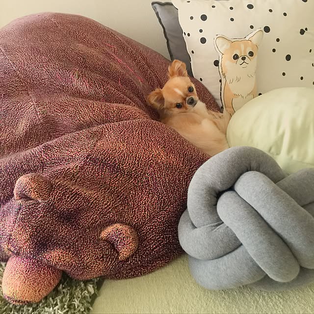 haruhinaさんの実例写真