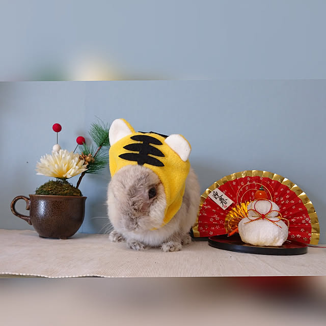 yokomokoさんの実例写真