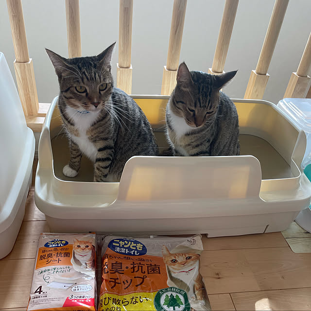 manekinekoさんの実例写真