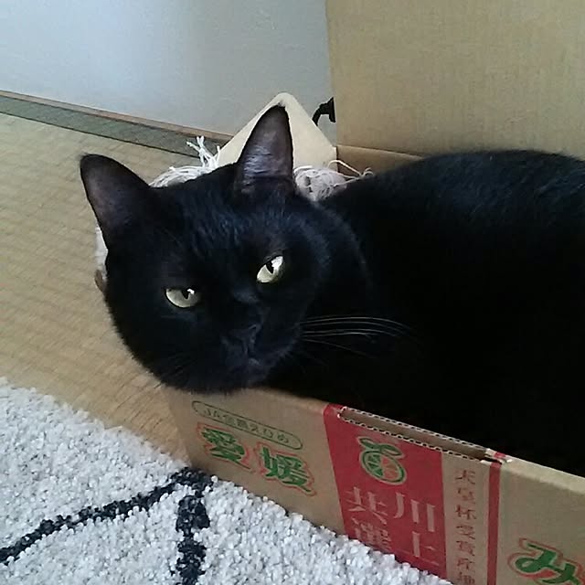 kuromiさんの実例写真
