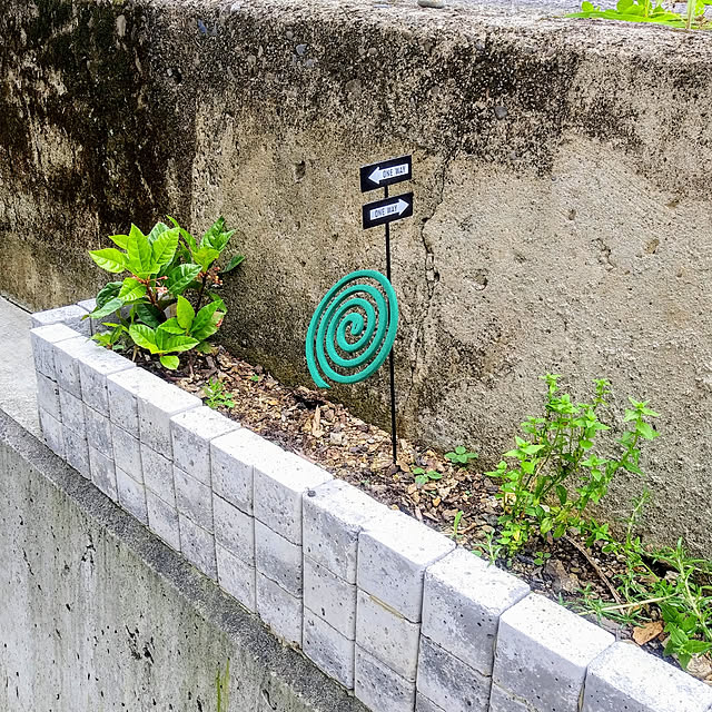 RAMIEさんの実例写真
