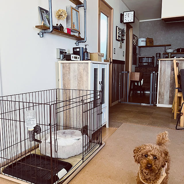 Royさんの実例写真