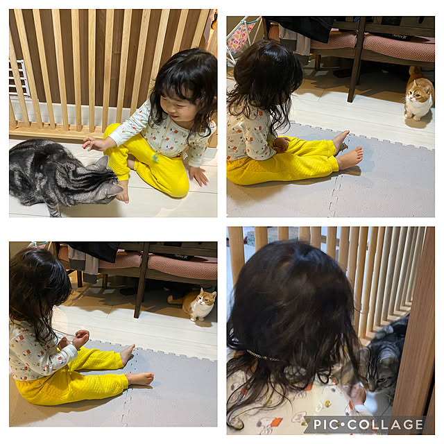 KotarouKunさんの実例写真