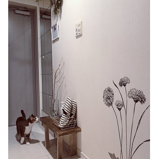 nekomiさんの実例写真