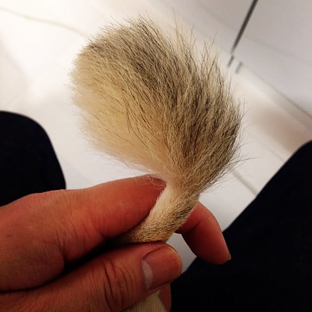 Naokiさんの実例写真