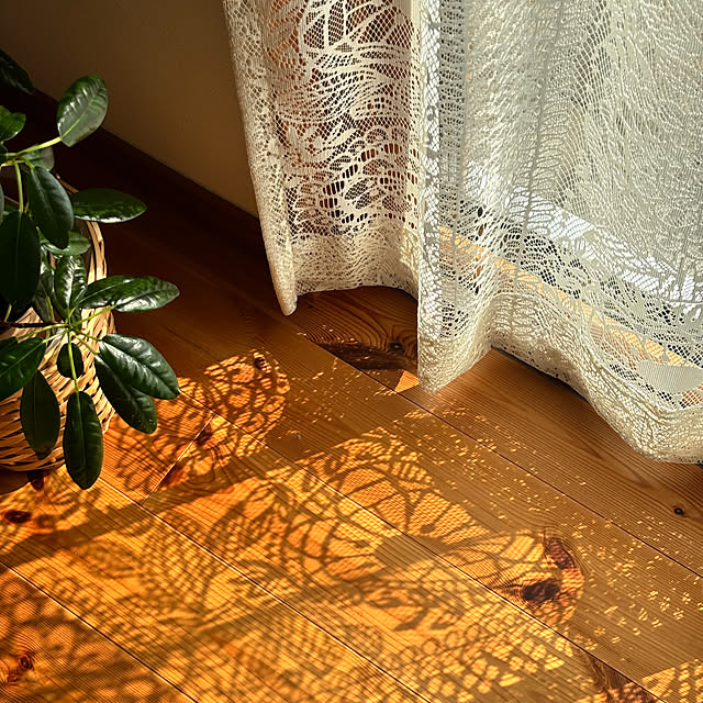 lalalaさんの実例写真