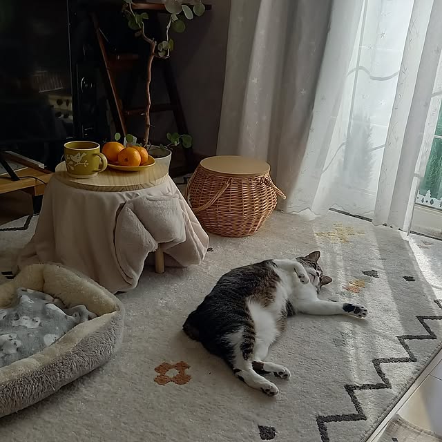 civicglさんの部屋