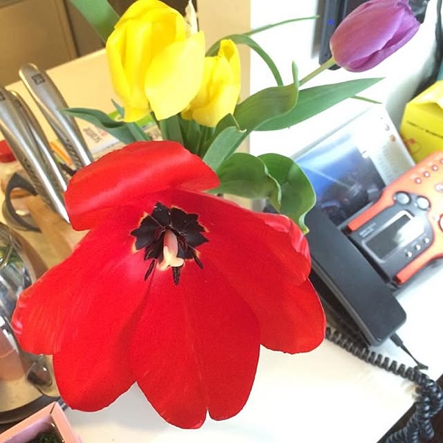 Leeさんの実例写真