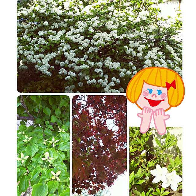 cherrycherryさんの実例写真