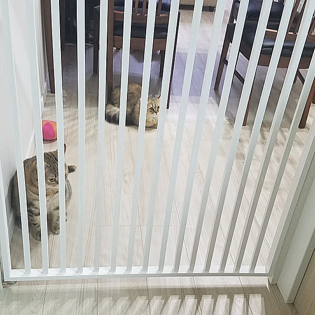ryuさんの実例写真