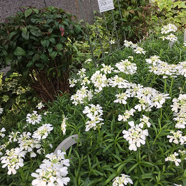 tomo2.8sさんの実例写真