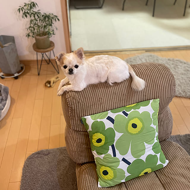 haritakaさんの実例写真