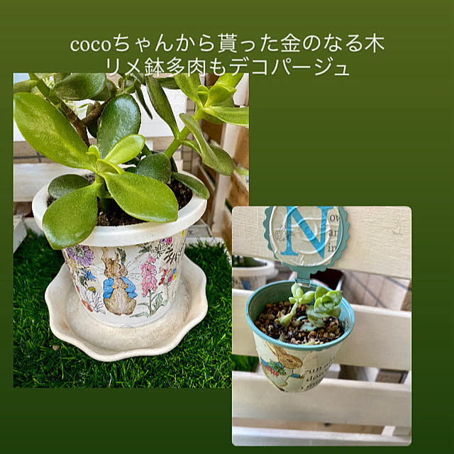 YuuKoさんの部屋