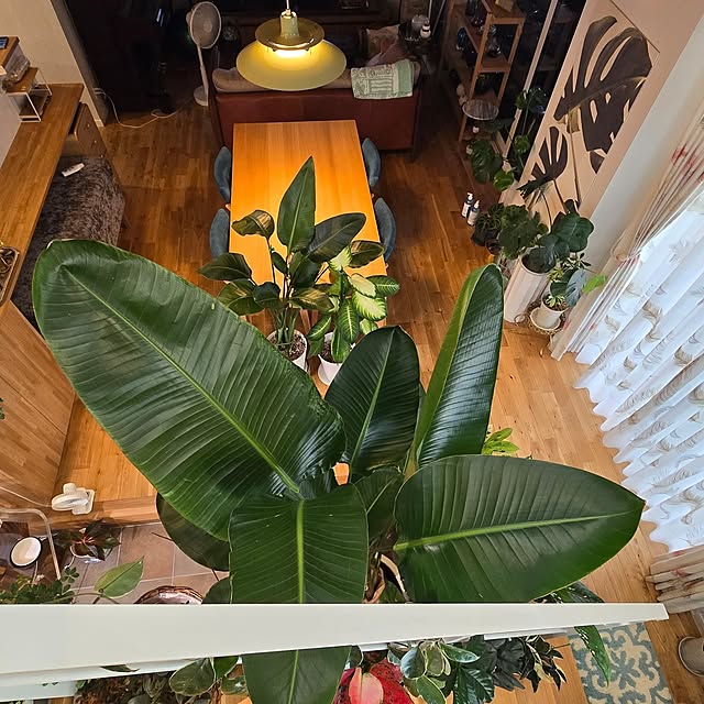 nonbiri_house_さんの実例写真