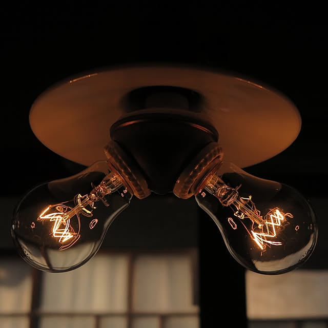 shibainuさんの実例写真