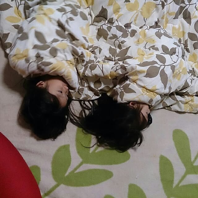 kikuさんの実例写真