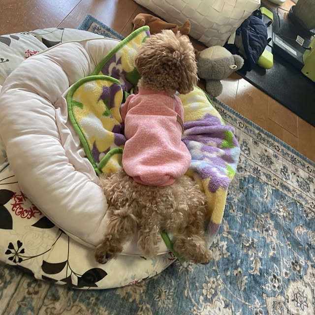 Naokoさんの実例写真