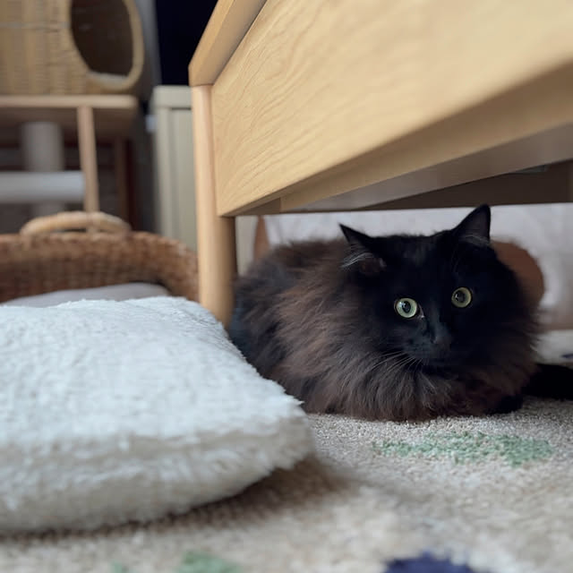 kokkomachaさんの部屋