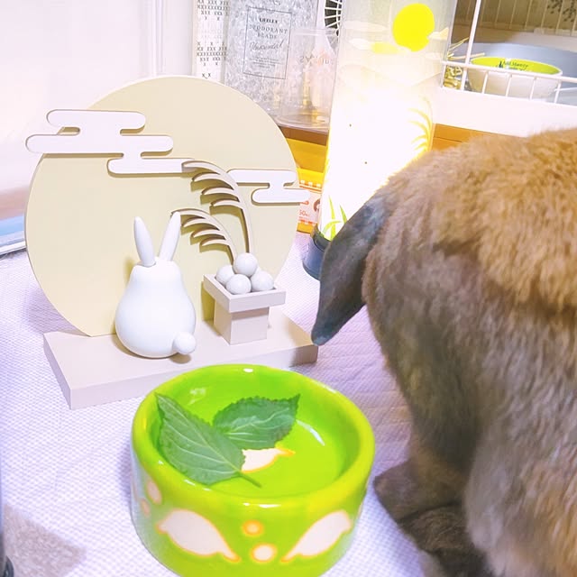 mariaさんの部屋