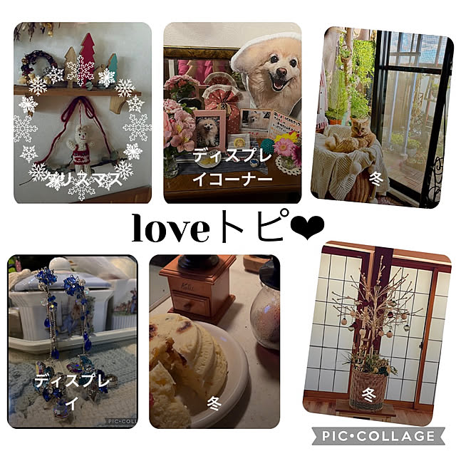 CoCo0617さんの実例写真