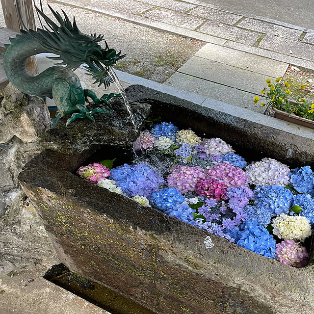 lapinさんの実例写真