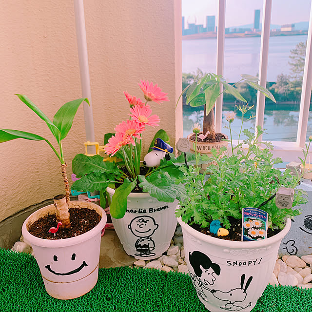 totoさんの実例写真