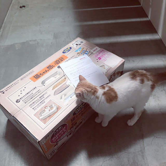 makimakiさんの部屋