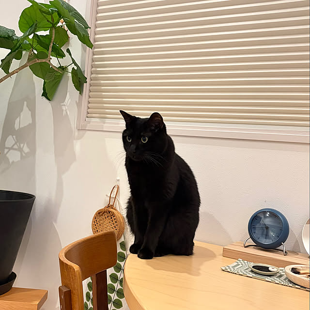 ayutaxさんの部屋