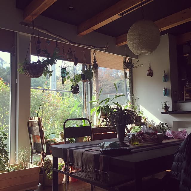 リビング/植物/多肉植物/男前/DIY...などのインテリア実例 - 2015-11-16 10:20:53