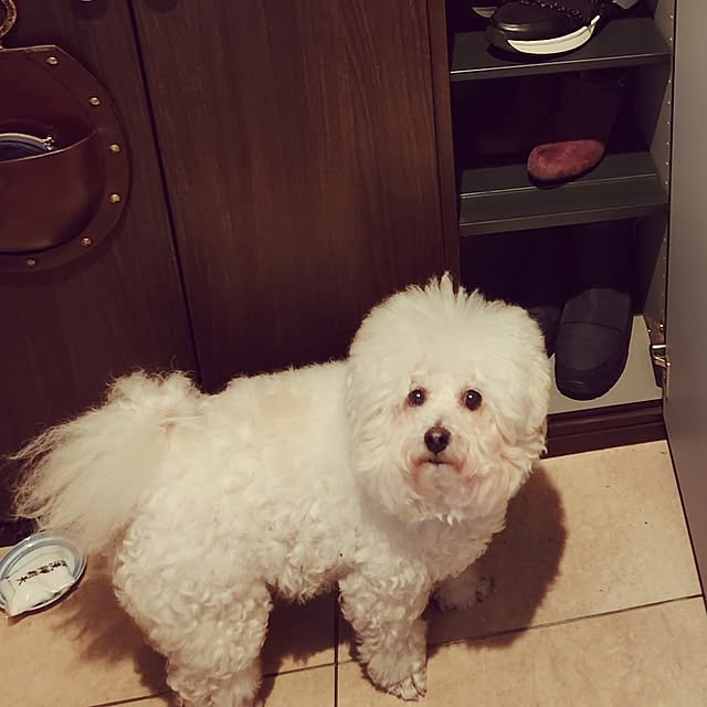 takoさんの部屋