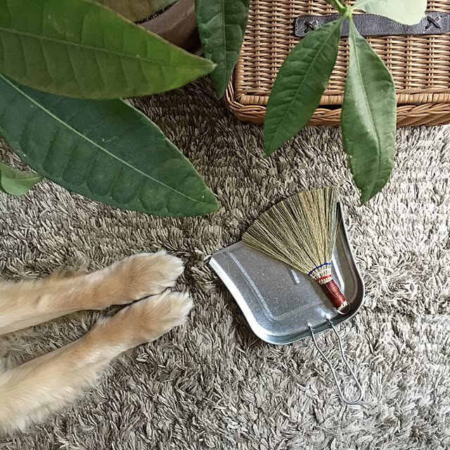 tomowithdogさんの実例写真