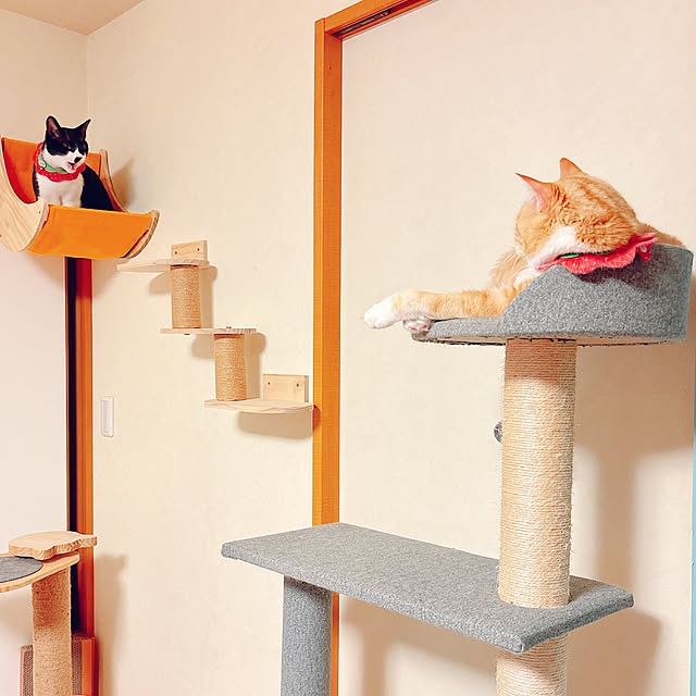 moolさんの部屋