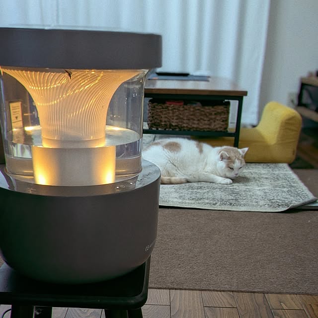 amutantanさんの実例写真