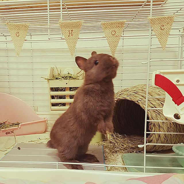 yuiさんの実例写真