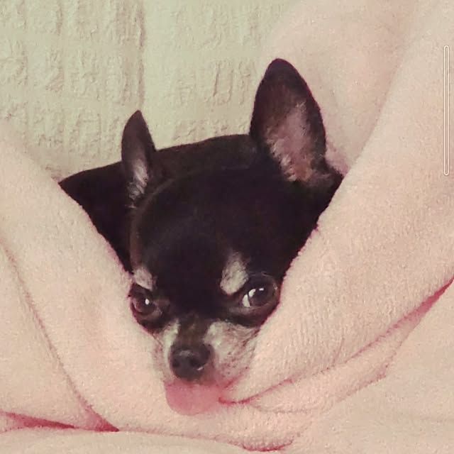 Bienvenueさんの部屋