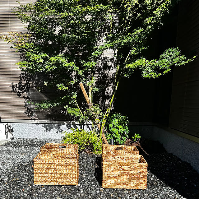 porinさんの実例写真