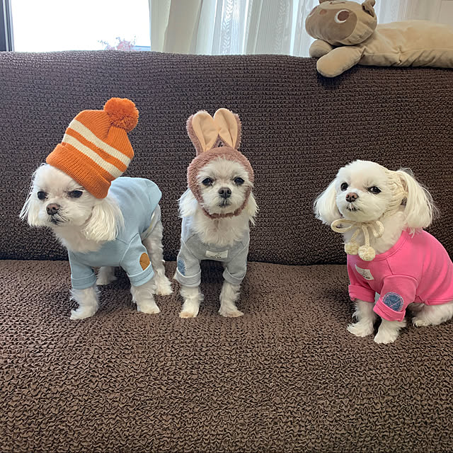 ponyoさんの実例写真