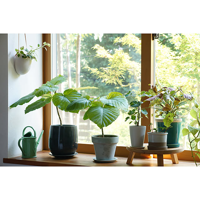 noriflowerさんの部屋