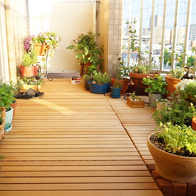 kinako_shiro_ginさんの実例写真