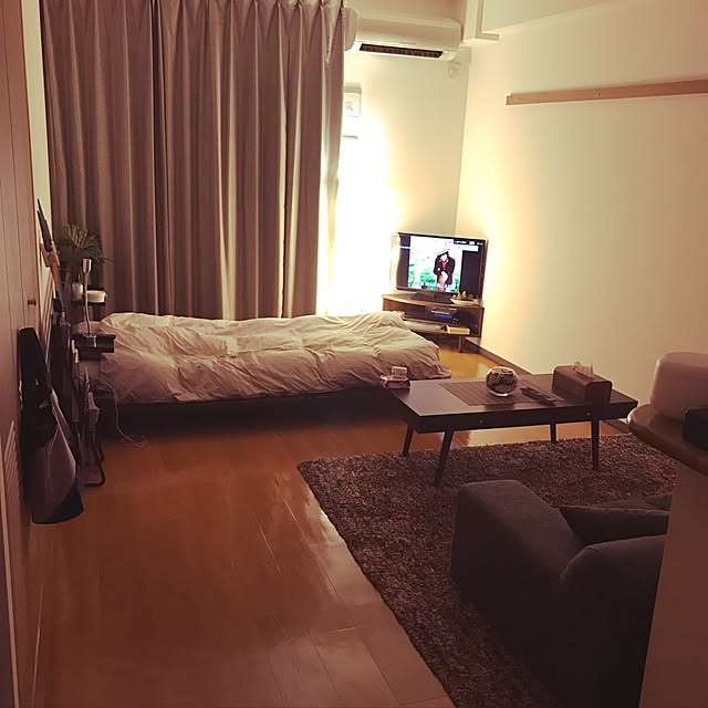部屋全体/観葉植物/一人暮らし/照明/ソファのインテリア実例 - 2016-12-23 10:43:28