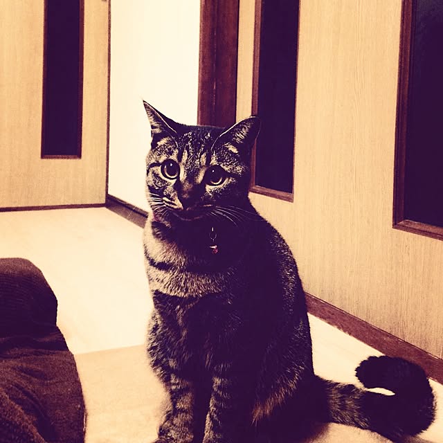 Naoki.さんの実例写真
